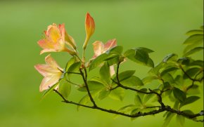 27218-n.jpg
