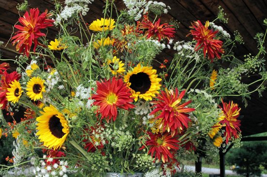 flowers010.jpg