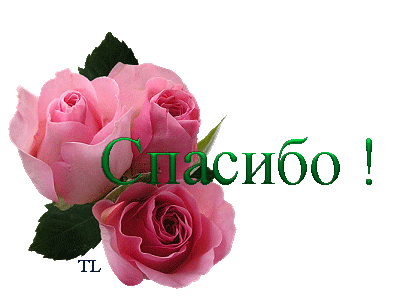 42329017_SPASIBO[1].gif