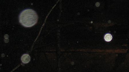 IMG_3768_1.jpg