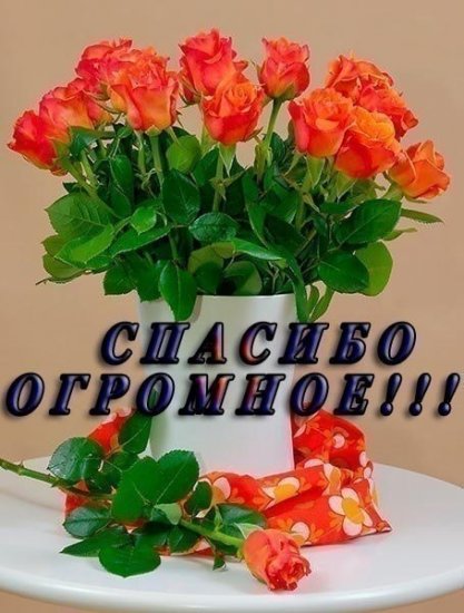 спс огр.jpg