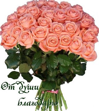 благод.jpg