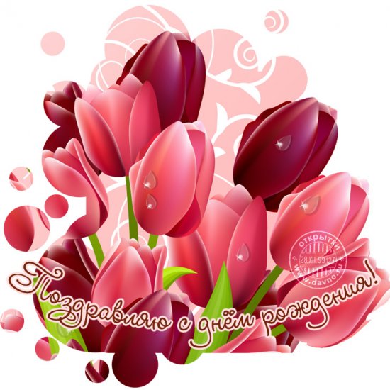 birthday-429.jpg