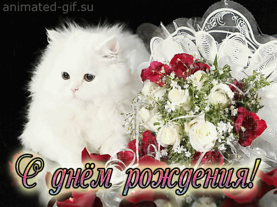 59070a8a0c983ff83fbba0d42c9a50af.gif