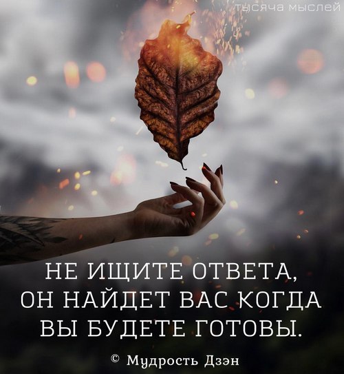 mWrhtskbcCY -11111.jpg