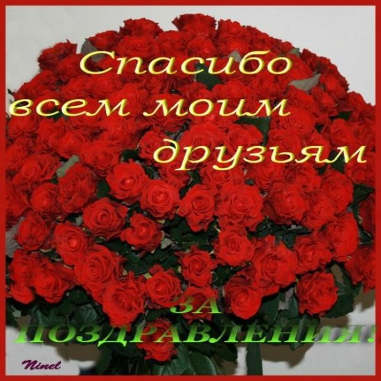 форум.jpg