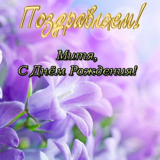 mitya-s-dnem-rozhdeniya-otkrytka.jpg