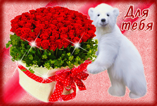 13715225.gif