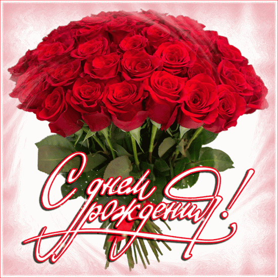 23069281.gif