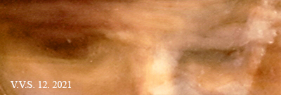 11a5.jpg