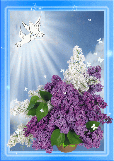 623fd1d7a58e62a2d587564f5c59a4ee.gif
