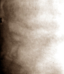 5a5.jpg