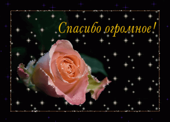 51814856_spasibo_ogromnoe.gif