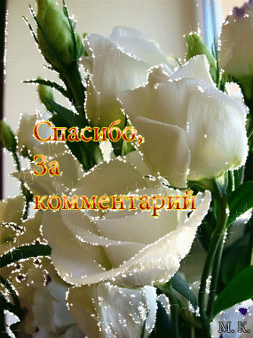 90419970.gif