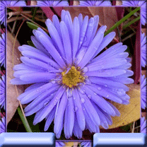 6f4f46847356.gif