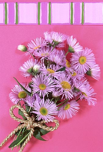 flower012.jpg