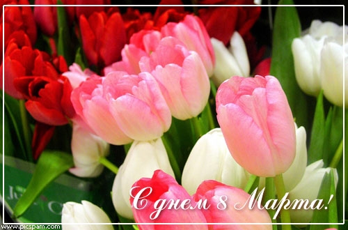 71485922_8mart15.jpg