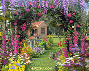 0_5d202_252445bf_orig.gif