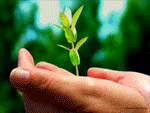 389205898.jpg.gif