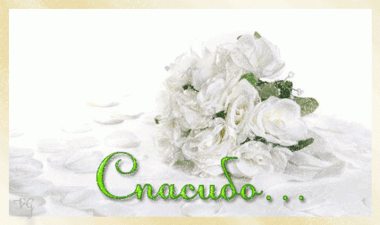 spasibo_розы.gif