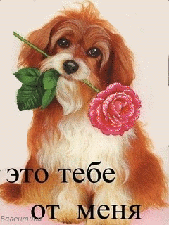 1275547253_70.gif