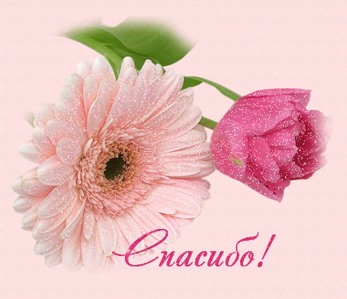 1275382491_www.chudetstvo.ru_spasiboi_11.gif