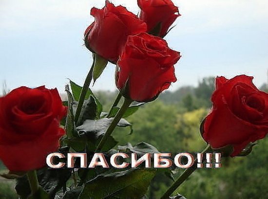 getImage (2).jpg