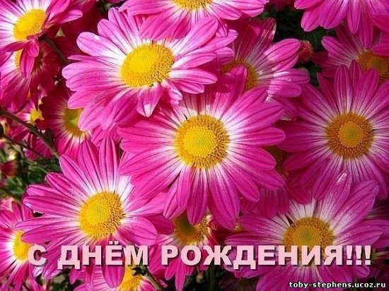 flor1.jpg