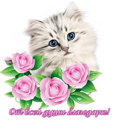 от всей души благодарю.png