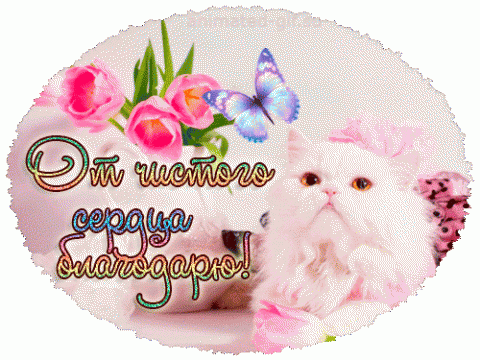от чистого сердца.gif