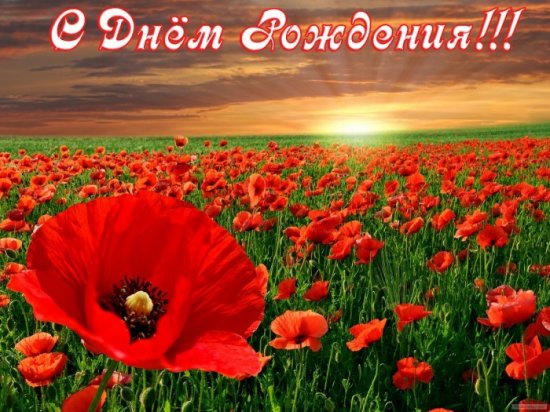 happybirthday142-700x525.jpg