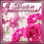 9448-darling27-HnHFQ8YTK4.gif